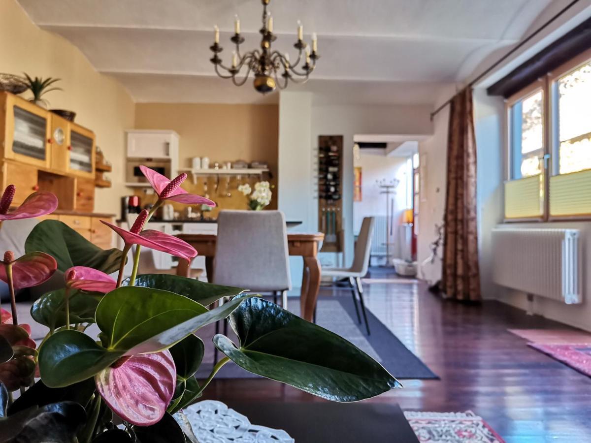 Gaestehaus Doris Purbach am Neusiedlersee Eksteriør bilde